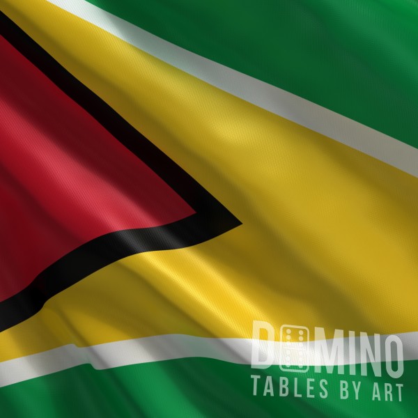 T140 Guyana Flag